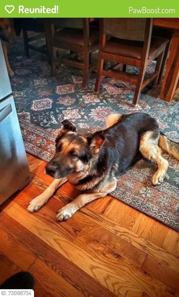 Reunited Male Dog last seen Green Meadows Drive, Lexington NC, Lexington, NC 27292