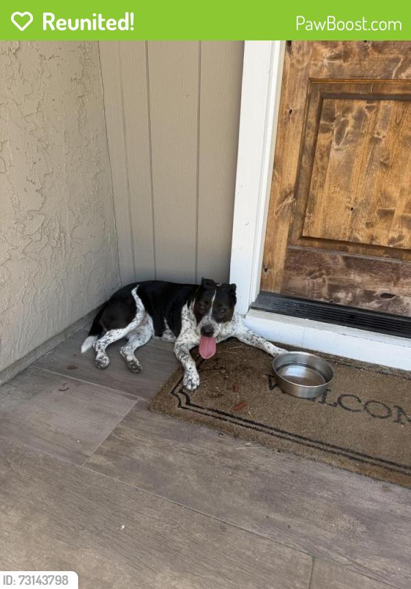 Reunited Unknown Dog last seen Fredericks, Oceanside, CA 92058