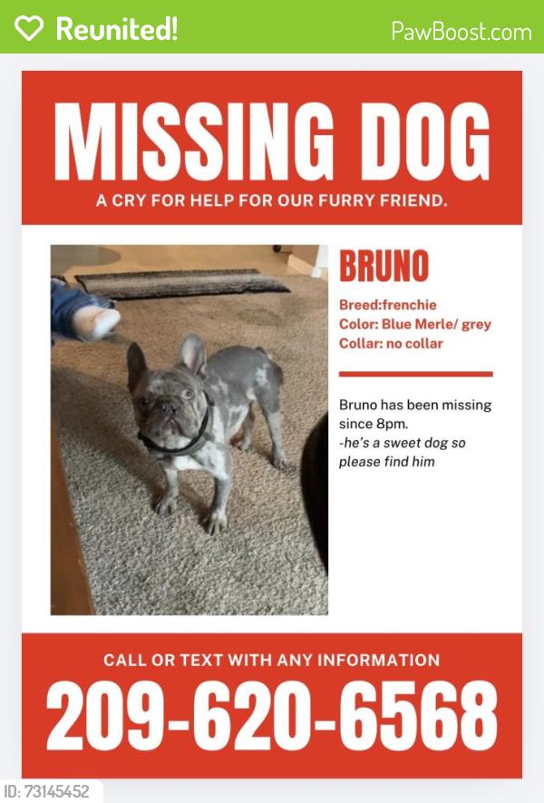 Reunited Male Dog last seen Near ginkgo ave, Ceres, CA 95307