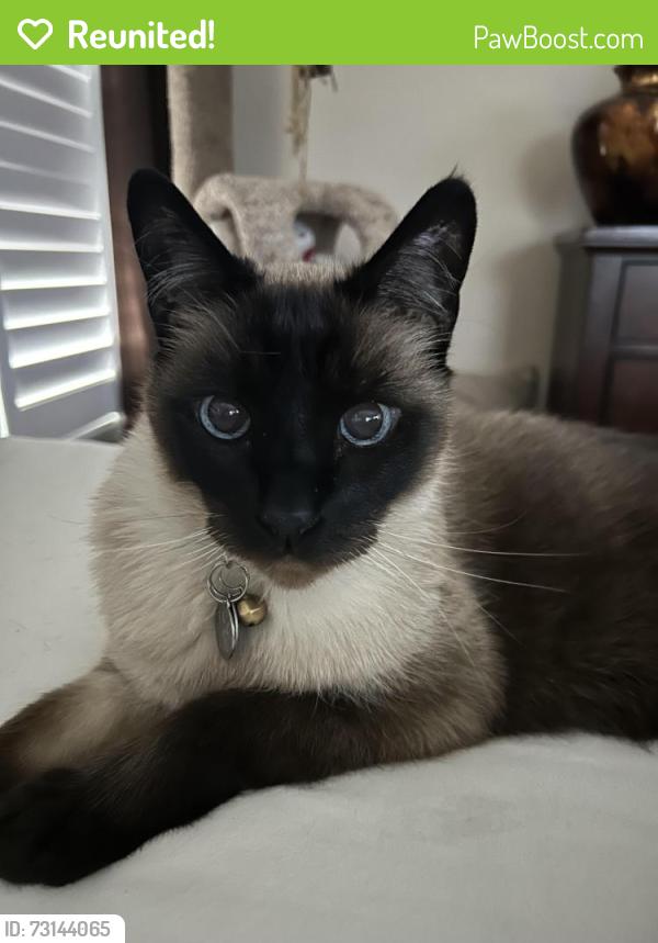 Reunited Male Cat last seen Summit Drive and Union, Paso Robles, CA 93446