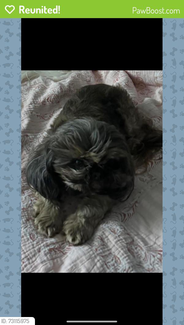 Reunited Male Dog last seen S Morgan Rd, Fox Ln, Blanchard, OK 73010