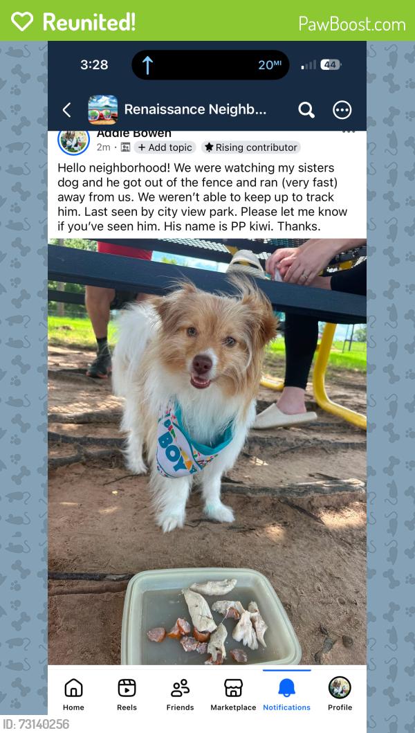 Reunited Male Dog last seen Between 11th and 15th off of Lewis, Tulsa, OK 74104