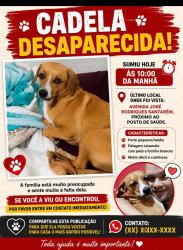 Lost Female Dog last seen Av jose Rodrigues Santarém 671, Parque Colonial, SP 03968-010