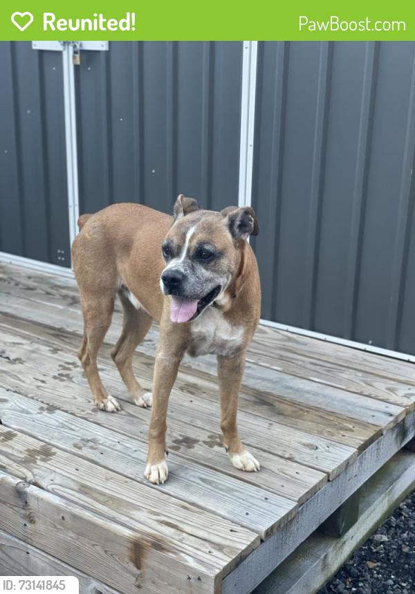 Reunited Male Dog last seen Alford Rd & Euharlee Rd, Rome, GA 30161