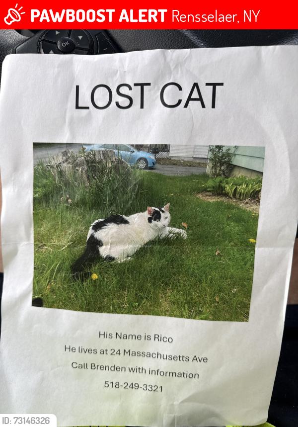 Lost Male Cat last seen Near Massachusetts Ave, Rensselaer, NY 12144