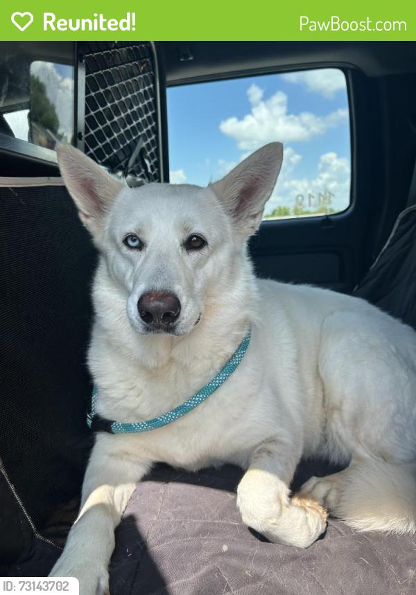 Reunited Female Dog last seen Near Labelle Dr., Warr Acres, OK 73132