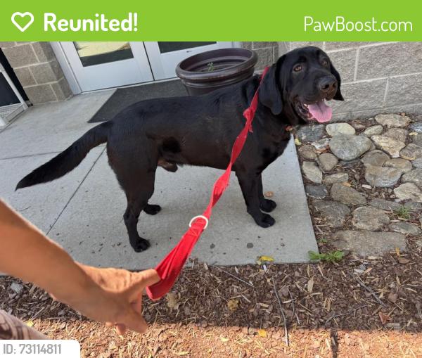 Reunited Male Dog last seen North Hominy Community Center, Newfound Rd, NC 28748