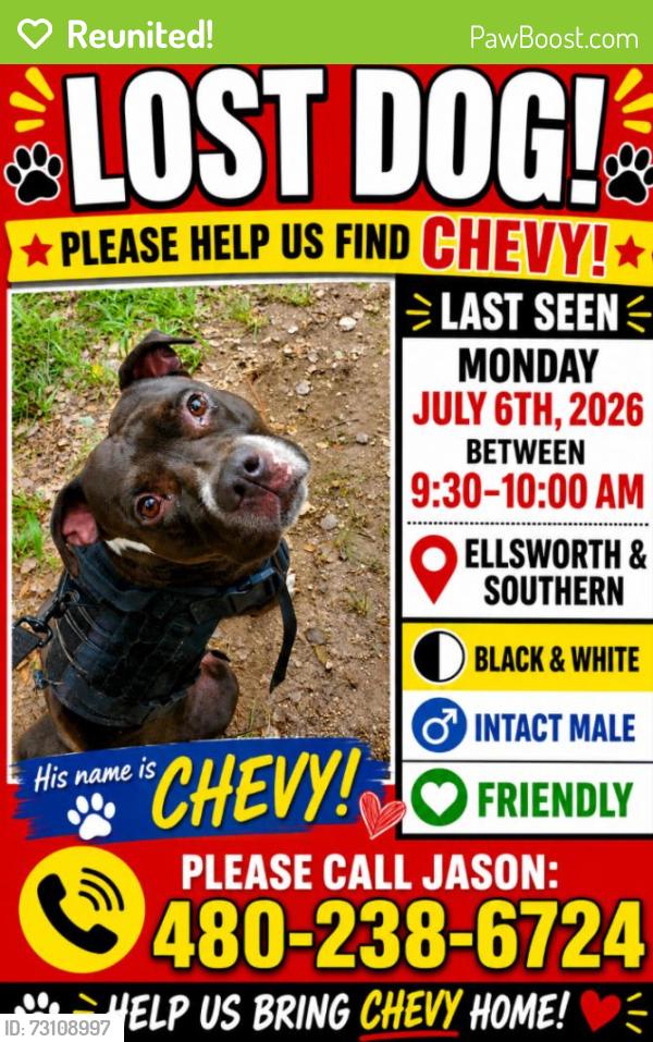Reunited Male Dog last seen Ellsworth and southern, Mesa, AZ 85209
