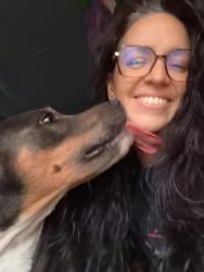 Reunited Male Dog last seen 63rd and Vicksburg, Lubbock, TX 79414