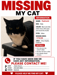 Reunited Male Cat last seen The renaissance apmts, Citrus Heights, CA 95610