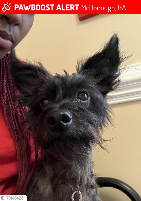 Lost Male Dog last seen Airline Road, McDonough, GA 30252