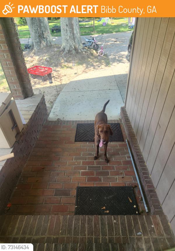 Found/Stray Male Dog last seen Champion road, Bibb County, GA 31216