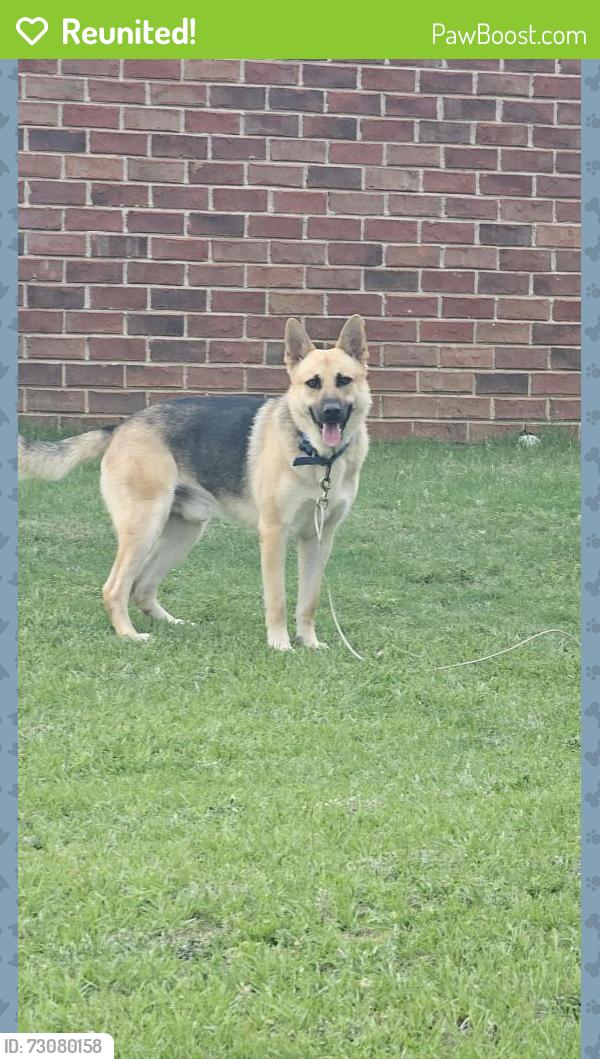 Reunited Male Dog last seen Glenn Hill School, Augusta, GA 30906
