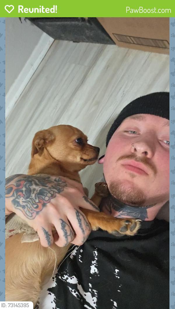 Reunited Female Dog last seen Albuquerque, NM, USA, Albuquerque, NM 87102