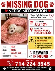 Reunited Female Dog last seen Near S Meade Ave, Fullerton, CA 92833, USA, Fullerton, CA 92833
