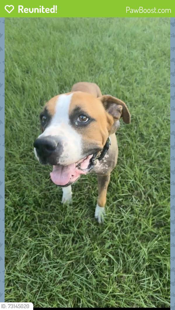 Reunited Male Dog last seen last seen by Bed Bath n Bones, Flint, TX 75762
