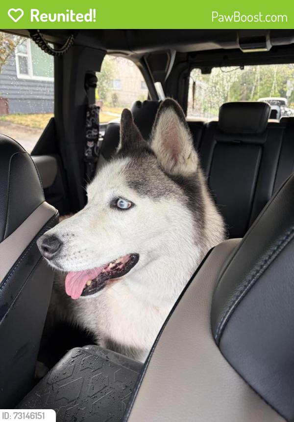 Reunited Female Dog last seen College and East Sherman, Newberg, OR 97132