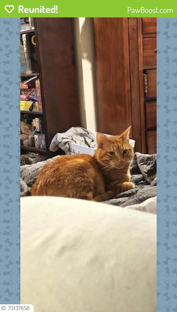 Reunited Male Cat last seen Fisher Rd Ne & Empress Way, Salem, OR 97305