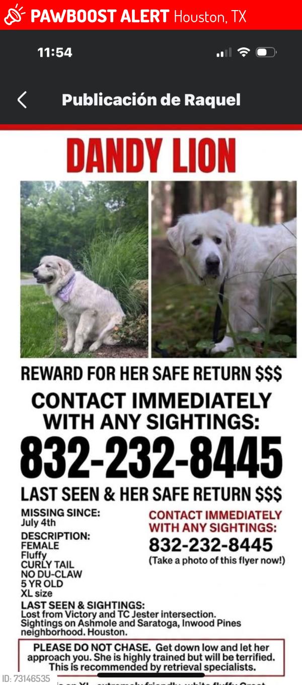 Lost Female Dog last seen Houston tx 77088, Houston, TX 77088