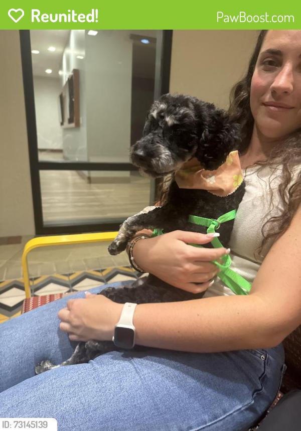 Reunited Male Dog last seen Plaza On University, Orlando, FL 32817