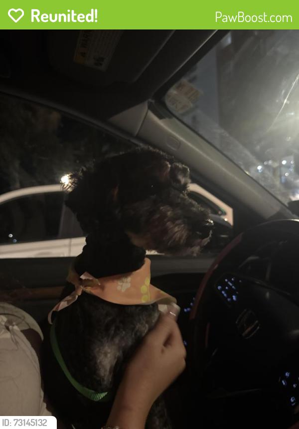 Reunited Male Dog last seen Plaza on university, Orlando, FL 32817