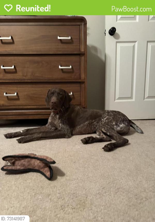 Reunited Male Dog last seen Casteel road and Villa rica road, Powder Springs, GA 30127
