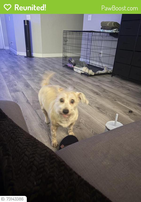 Reunited Female Dog last seen Near, North Las Vegas, NV 89032