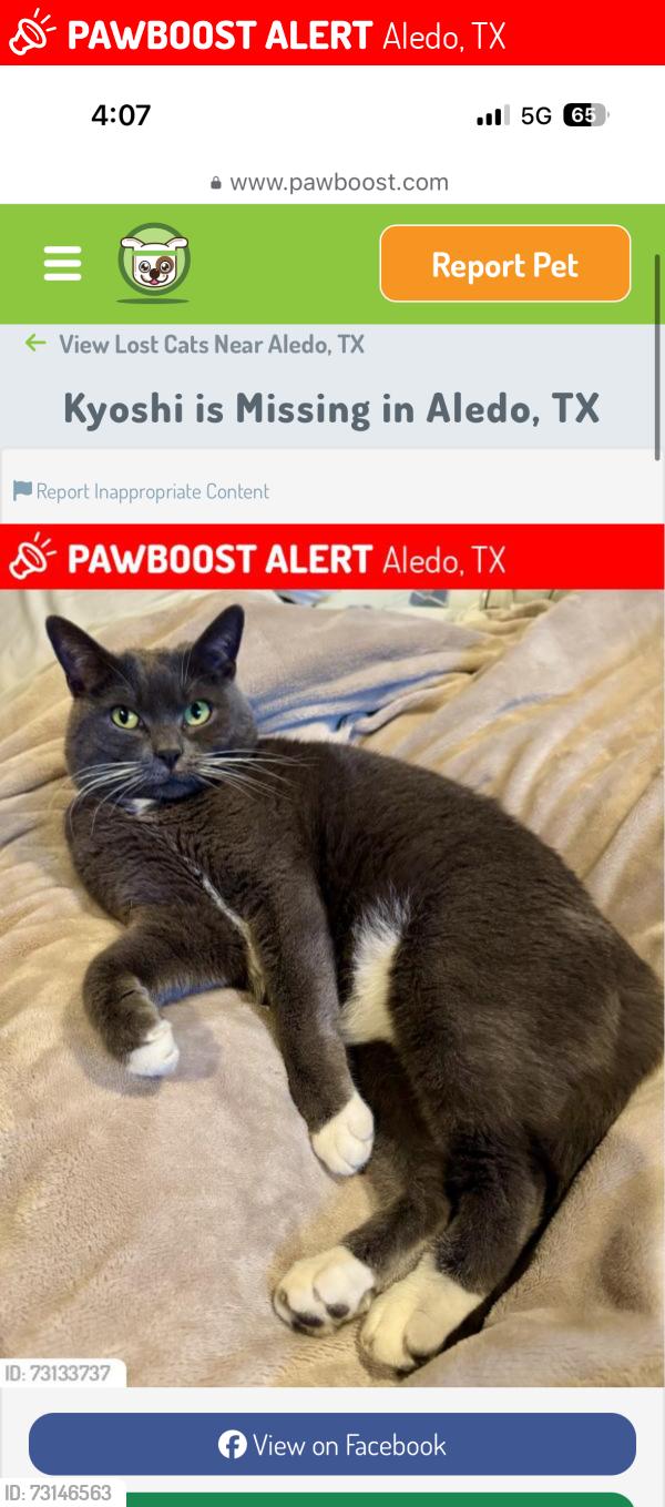 Lost Female Cat last seen Parks of Aledo, Aledo, TX 76008