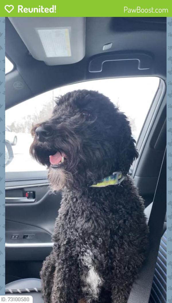 Reunited Male Dog last seen Bone Lake, Scandia, MN 55073