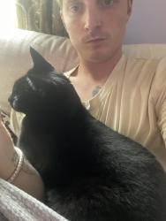 Lost Male Cat last seen Homewood, Birmingham, AL 35209