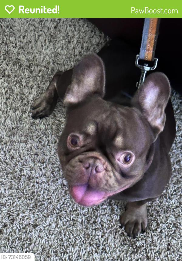 Reunited Male Dog last seen Fremont and Ruth st, Saint Paul, MN 55119