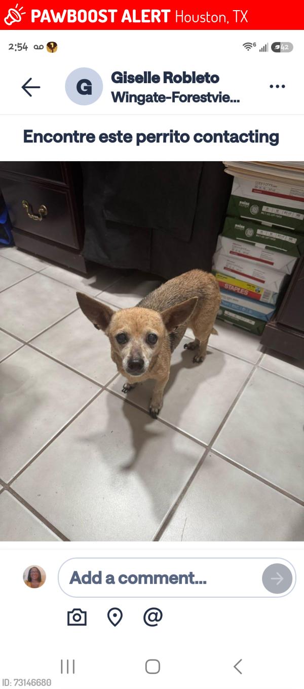 Lost Female Dog last seen Cascadia Dr and Wingdale, Houston, TX 77082