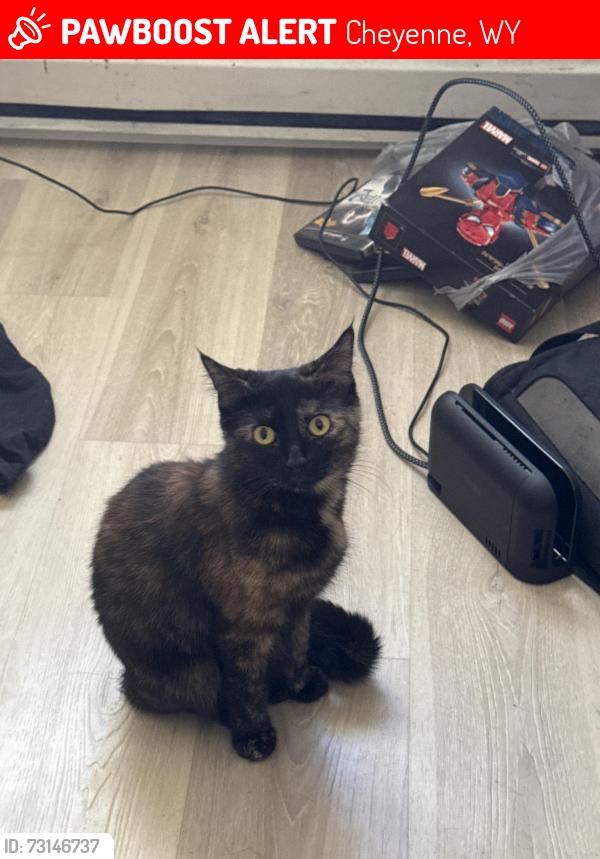 Lost Female Cat last seen Near Dell Range Blvrd, Cheyenne, WY 82009
