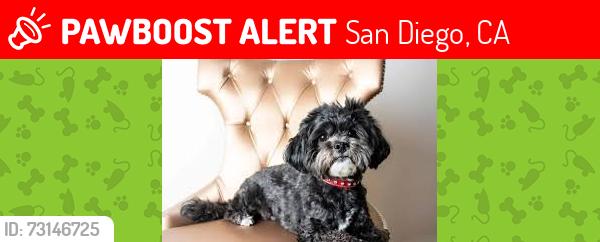 Lost Female Dog last seen Valencia parkway, San Diego, CA 92114