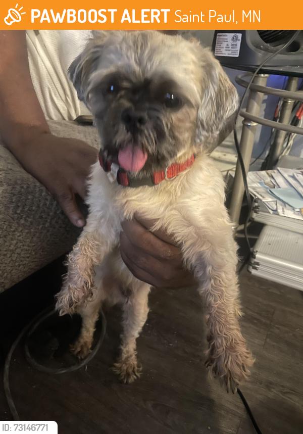 Found/Stray Male Dog last seen 6th St E and Atlantic, Saint Paul, MN 55106
