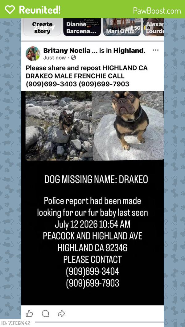 Reunited Male Dog last seen Orchid Dr E, Highland, CA 92346, USA, Highland, CA 92346
