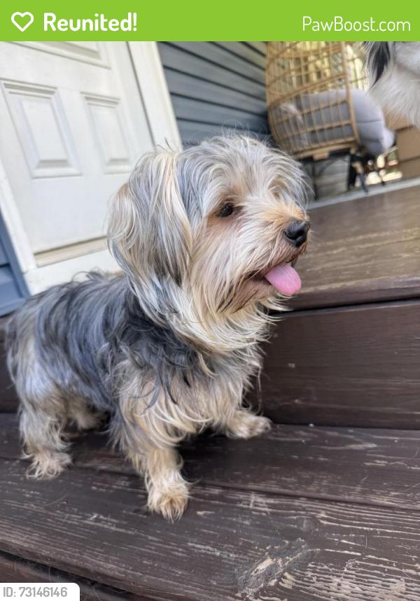 Reunited Male Dog last seen Marla Drive, Varnell, GA 30710