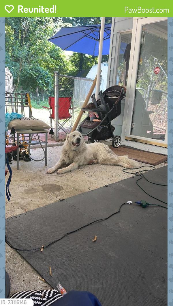 Reunited Unknown Dog last seen Nixon St, Durham, NC 27707