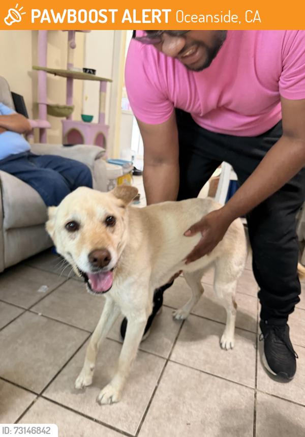 Found/Stray Unknown Dog last seen Jonathon st near John landes park, Oceanside, CA 92056