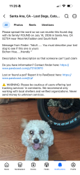 Lost Male Dog last seen Mcfadden n Raitt, Santa Ana, CA 92704