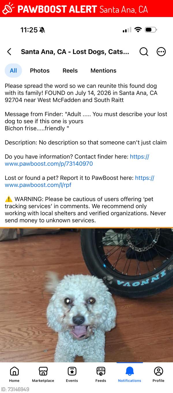 Lost Male Dog last seen Mcfadden n Raitt, Santa Ana, CA 92704