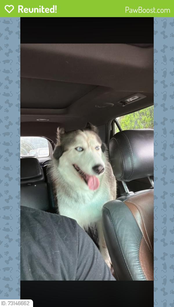 Reunited Female Dog last seen Near Buckskin Bend, San Antonio, TX 78254, San Antonio, TX 78254