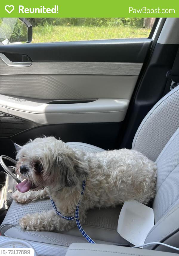 Reunited Female Dog last seen Back creek church and university city blvd, Charlotte, NC 28213
