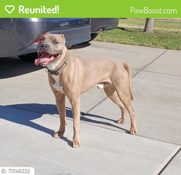 Reunited Unknown Dog last seen Tembrook, Sacramento, CA 95864