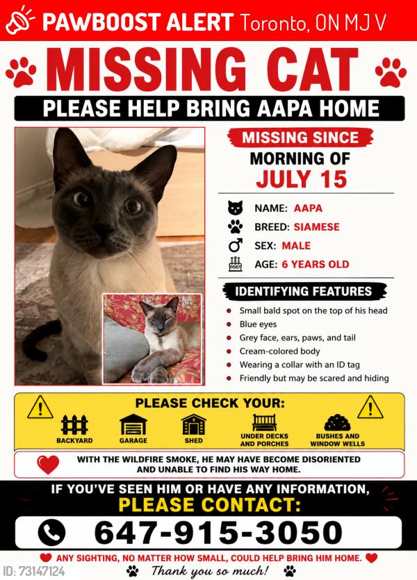 Lost Male Cat last seen Pleasant view and earnest park, Toronto, ON M2J 3V5