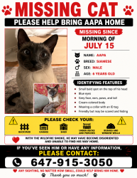 Lost Male Cat last seen Pleasant view and earnest park, Toronto, ON M2J 3V5