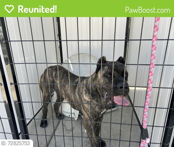 Reunited Unknown Dog last seen Terrace, Seaside, CA 93955