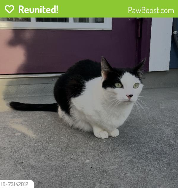 Reunited Male Cat last seen SE 37th Ave, between Holgate and Gladstone, Portland, OR 97202