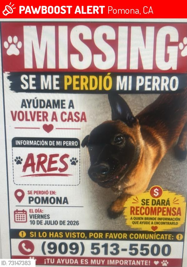 Lost Male Dog last seen West Ministor Church, Pomona, CA 91766