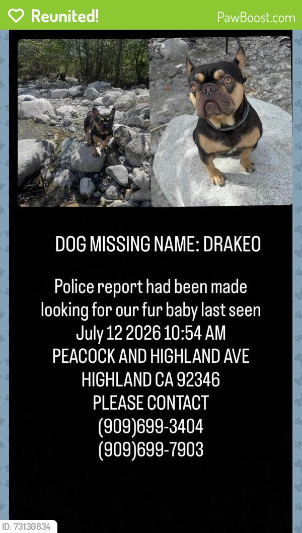 Reunited Male Dog last seen Near Peacock Ave, Highland, CA 92346, USA, Highland, CA 92346